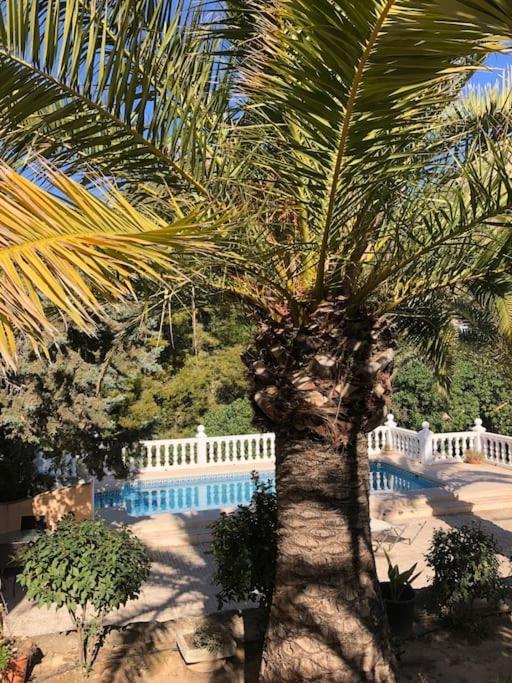 Appartement Casa Con Piscina à Calp Extérieur photo
